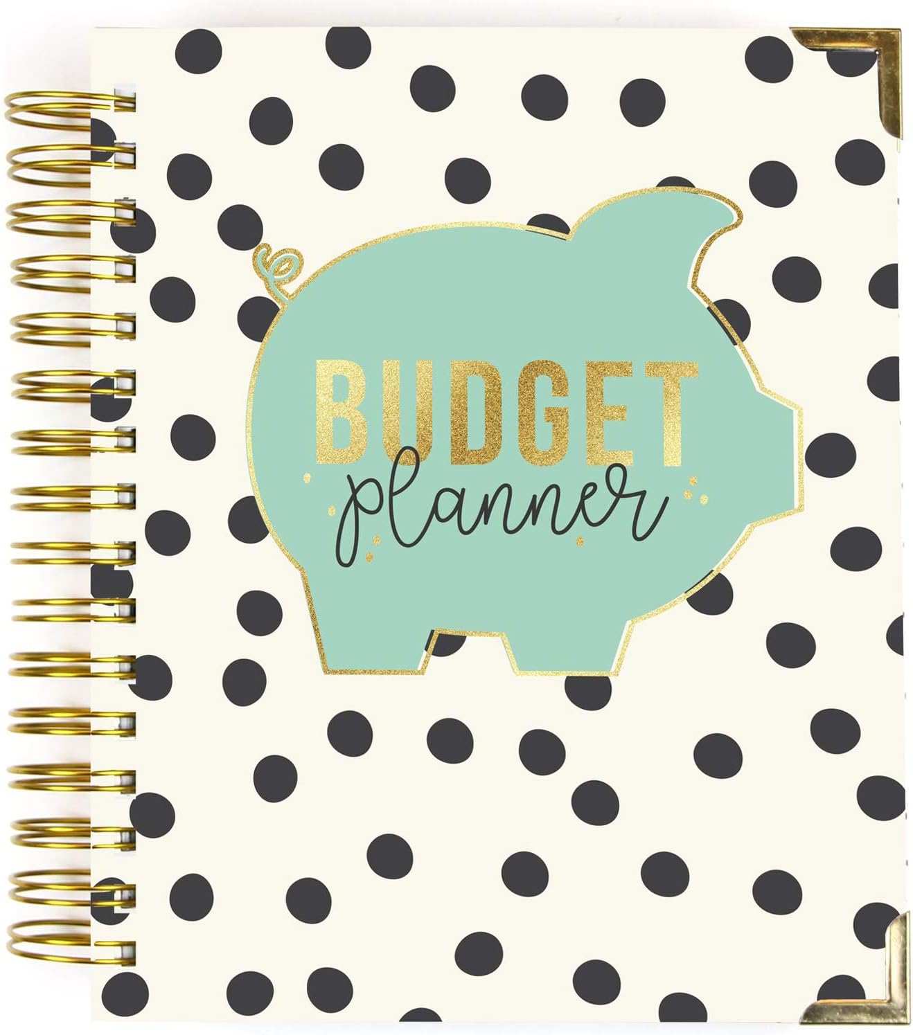 Pukka Pad, Carpe Diem Budget Planner Spiral Bound Notebook with 12 Month Calendar, Dividers, Inserts, and Sticker Sheets – Features Savings Goals & Tracker, Financial Overview, and Bank Information